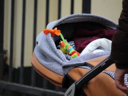 Курултай Башкирии снова отправит в Госдуму закон о запрете чайлдфри