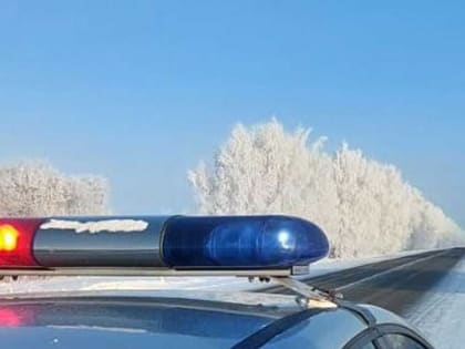 В Башкирии сотрудники ГИБДД в -40° спасли на трассе трех женщин с ребенком
