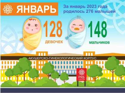 За январь 2023 года родилось 276 малышей