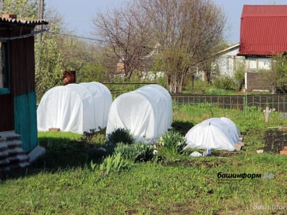 Радий Хабиров поручил муниципалитетам встретиться с председателями СНТ, чтобы «измерить температуру»