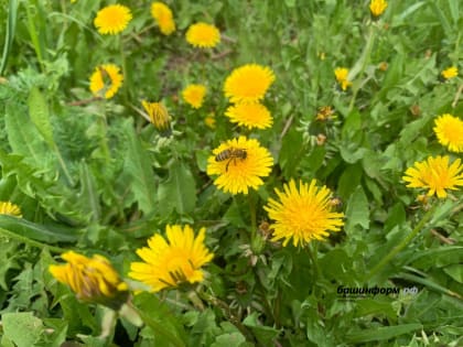 Жителей Башкирии ждут жаркие выходные