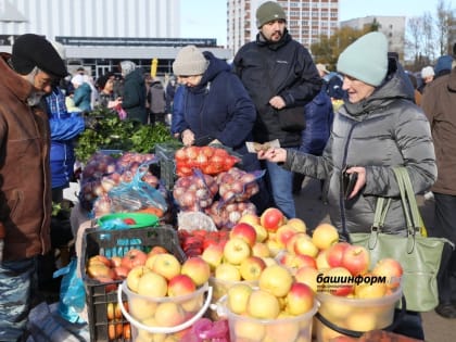 Сегодня в Башкирии продолжат работу сельскохозяйственные ярмарки