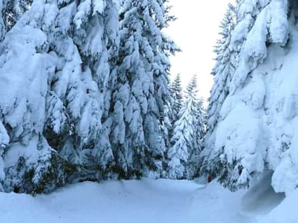 Температура воздуха 5 февраля 2023 года в Башкирии понизится до -28°