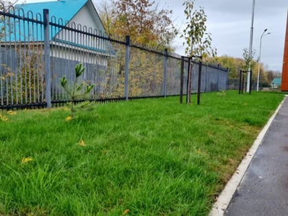 Травка зеленеет, солнышко блестит