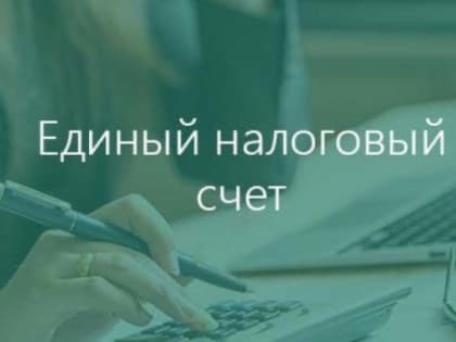 Как зафиксировать платежи или переплату  в конкретном налоге и бюджете