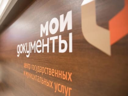 Подать налоговую декларацию можно в МФЦ