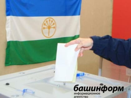 Центры управления регионами помогут провести выборы в России