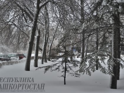 В стационары Башкирии поступают пациенты с обморожениями
