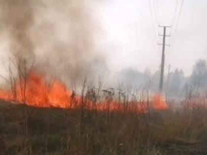 В Башкирии пожарные борются с горением травы в Краснокамском районе