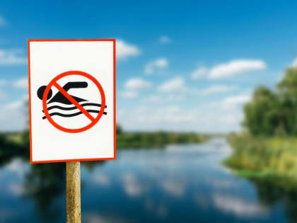 Не как рыба в воде