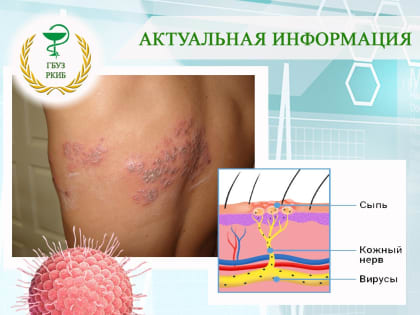 Актуальная информация
