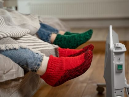 Ни в коем случае не выбрасывайте старые дырявые носки: они пригодятся в огороде — результат поразит