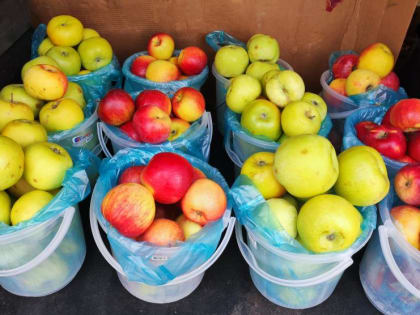 Добро пожаловать на ярмарку!