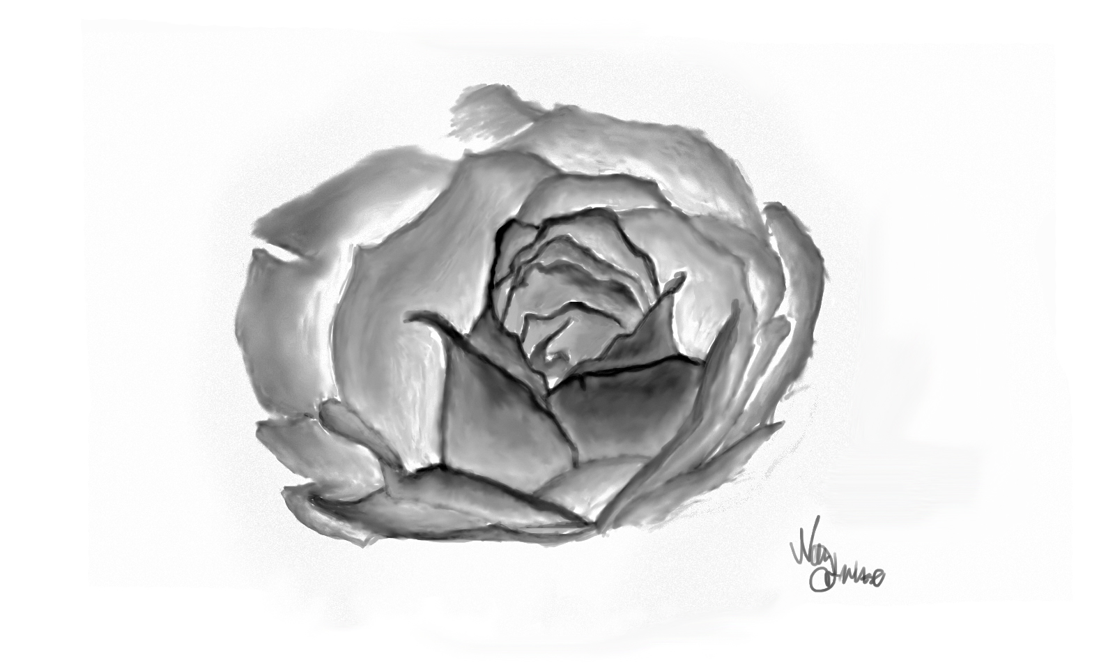 Sketch Fine Arts