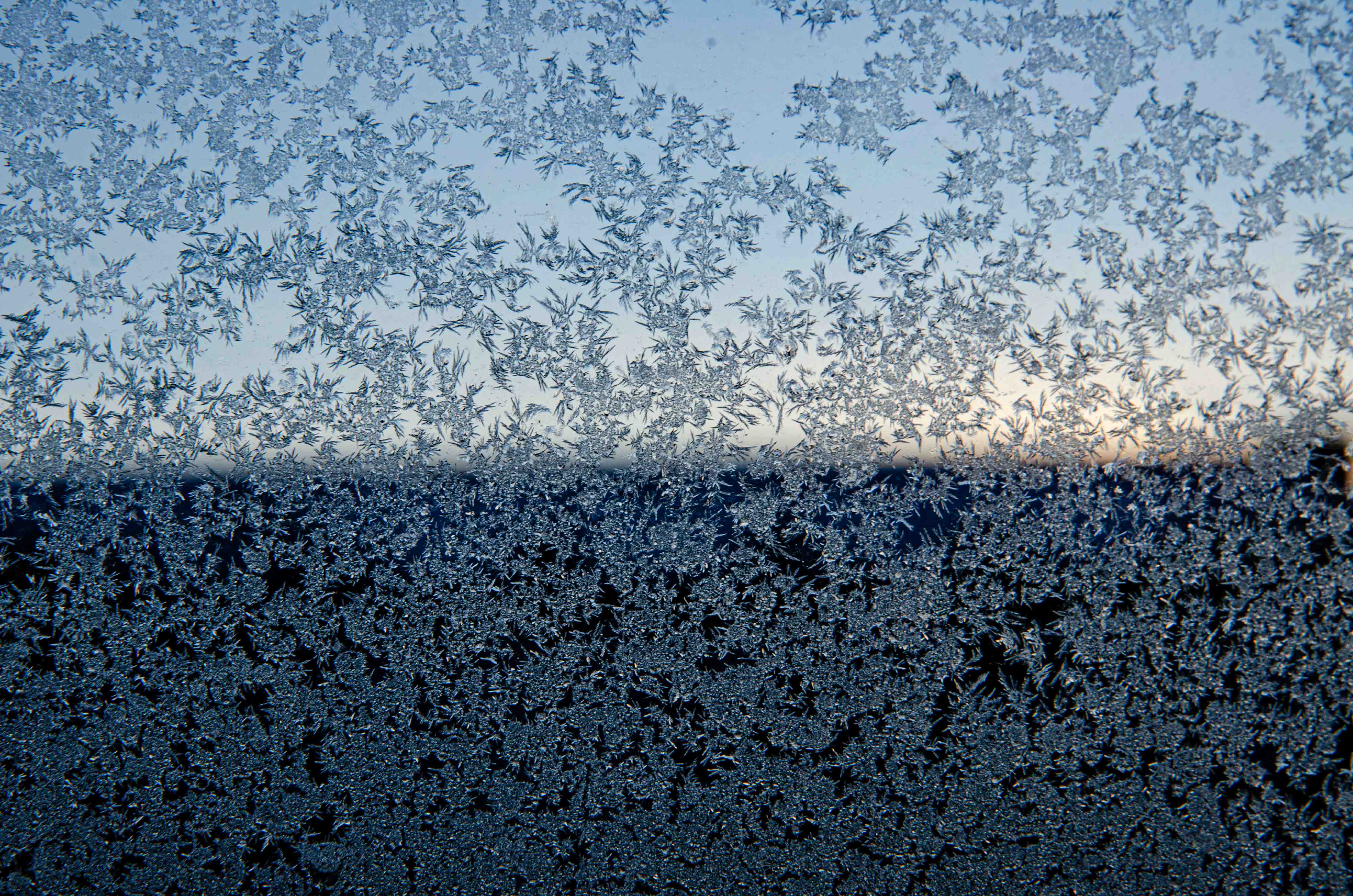 Ice flowers