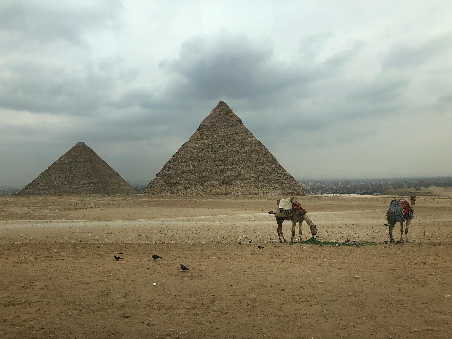Kairo - Giza Pyramid Complex