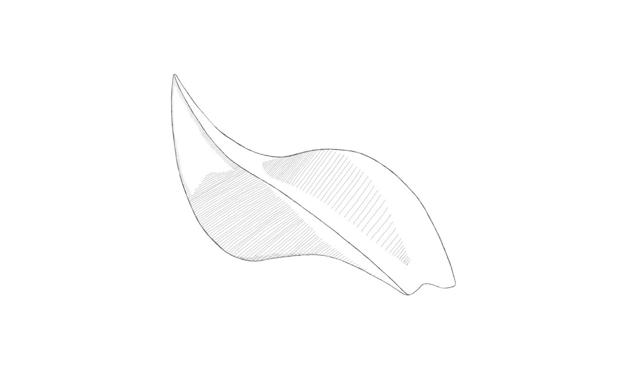 Sketch Plaster Figure