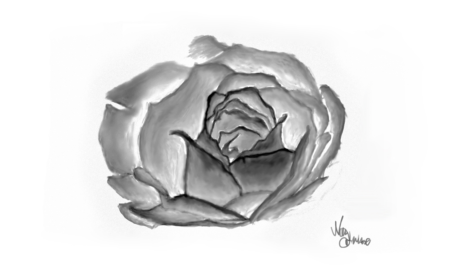 Sketch Fine Arts