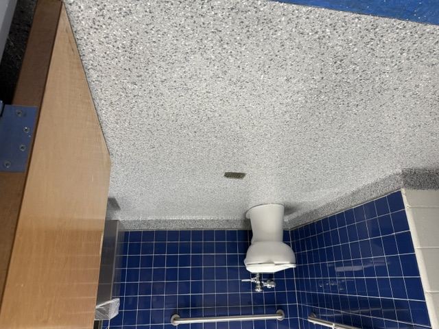 Gray flake flooring in a commercial bathroom showing seamless high-durability finish.