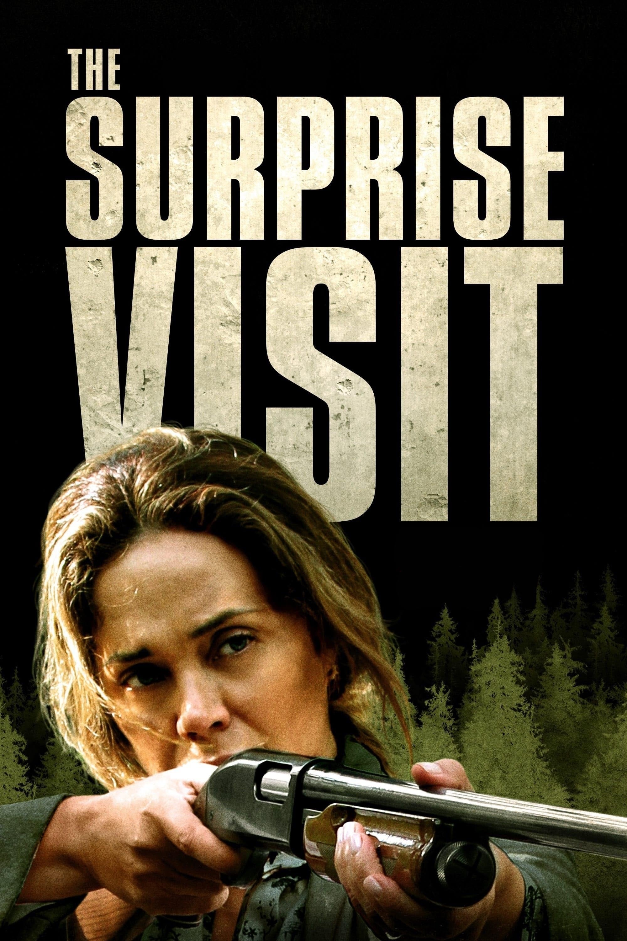 The Surprise Visit movie thumbnail