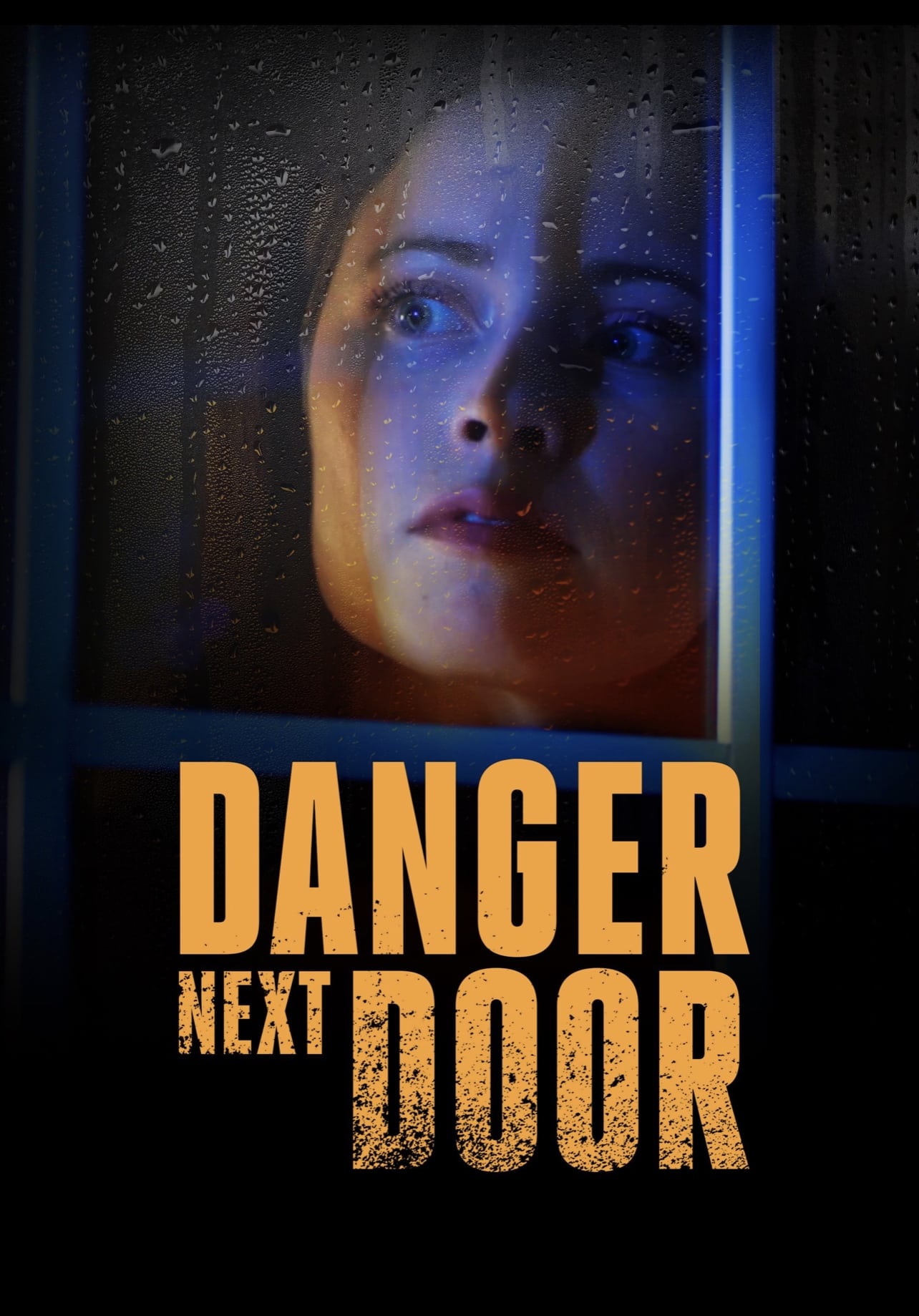 The Danger Next Door movie thumbnail