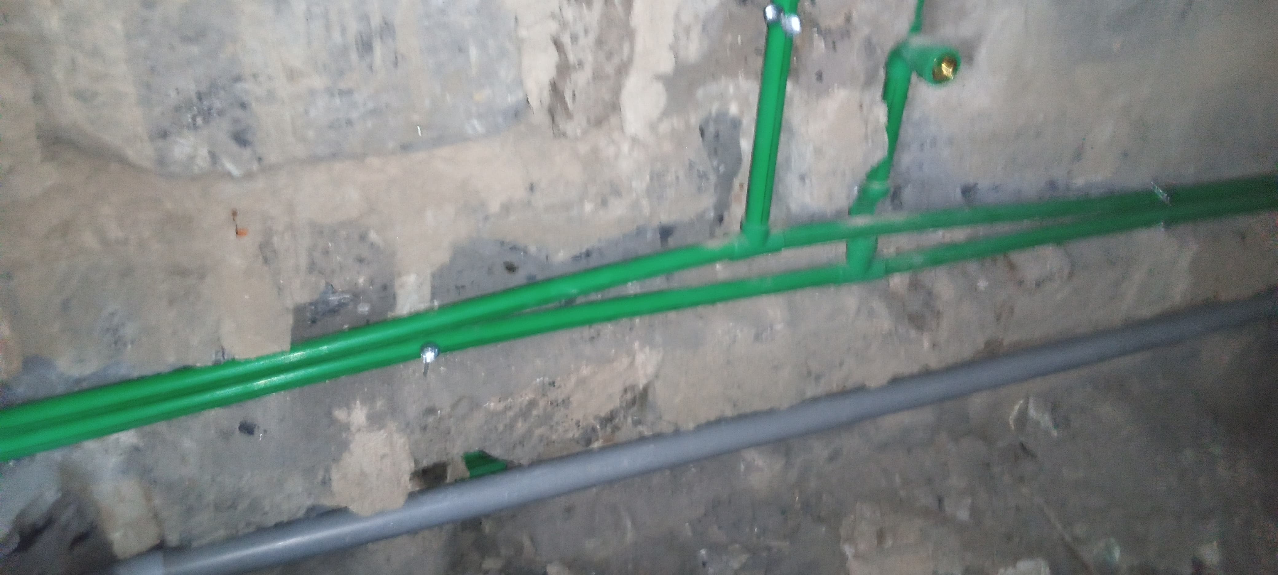 Project 5 Image 6