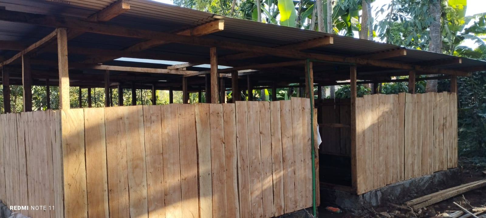 Project 9 Image 4