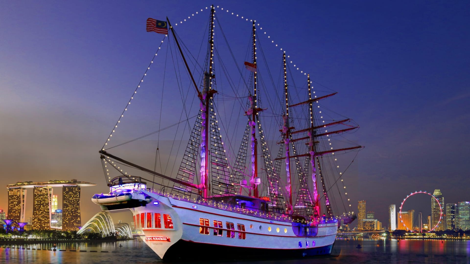 Royal Albatross City Lights Dinner Cruise