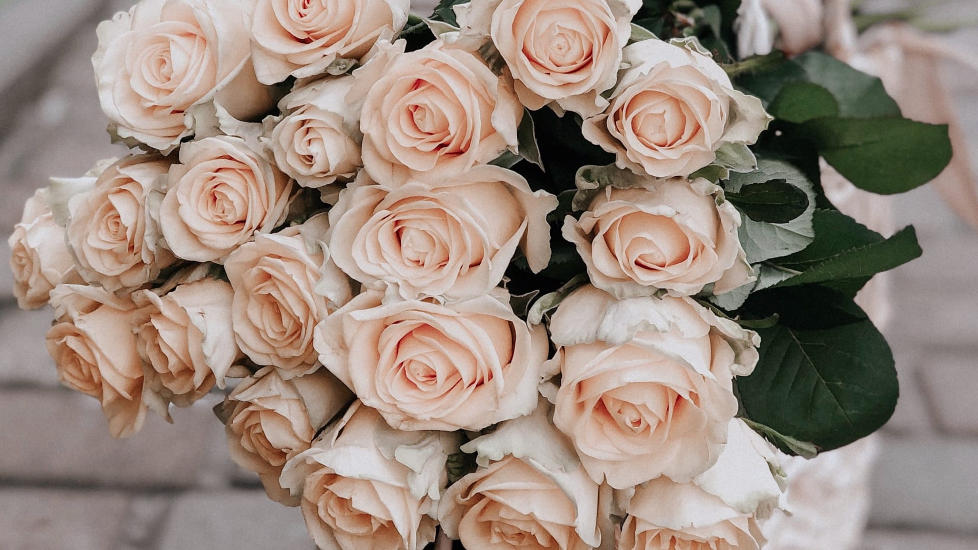 Why Do People Gift Roses - the perfect flower gift for her