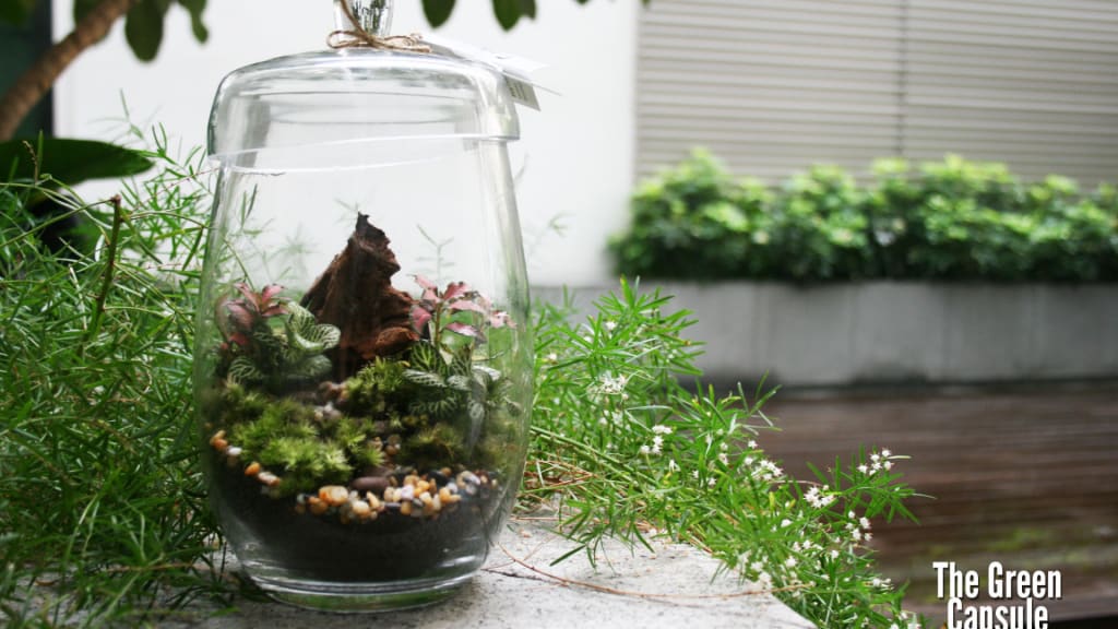 The Green Capsule Closed Terrarium Workshop as a housewarming gift