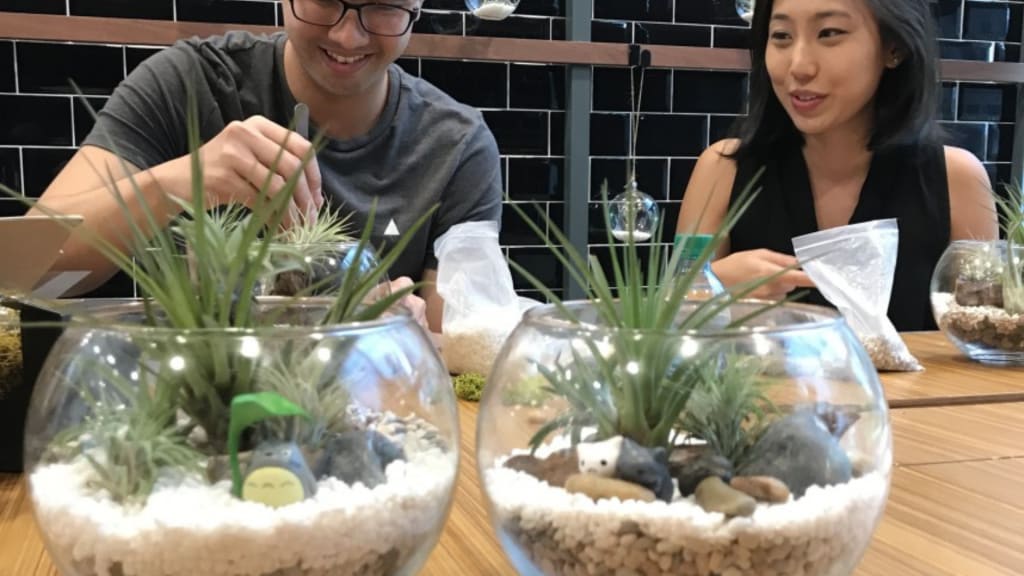 The Green Capsule terrarium workshop helps to destress and unwind