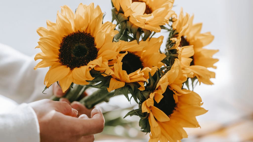 Sunflower bouquet