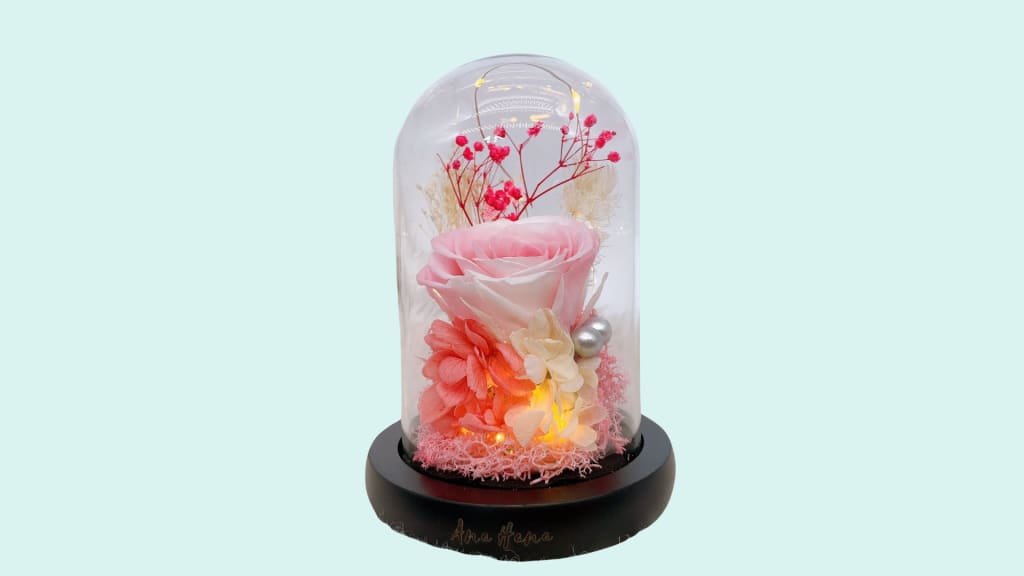 My Only Love Hana Flower Dome