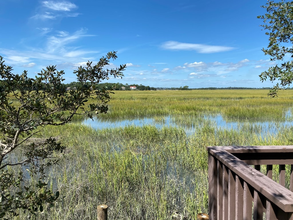 Relaxing marsh view .