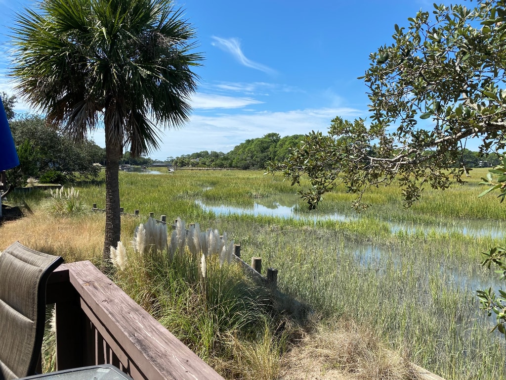 Canal and marsh views, birds, deer and jumping fish.