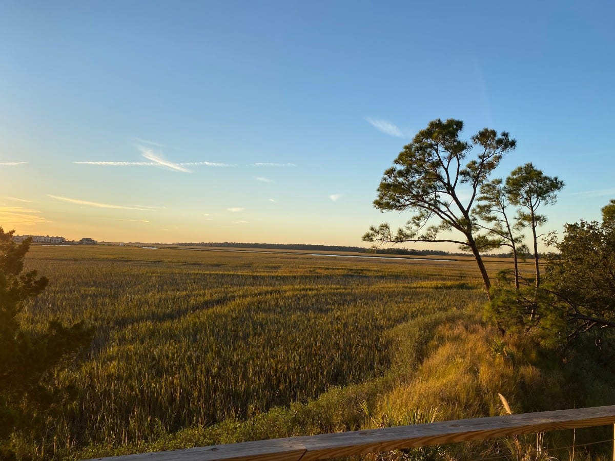 926 Marsh Dunes