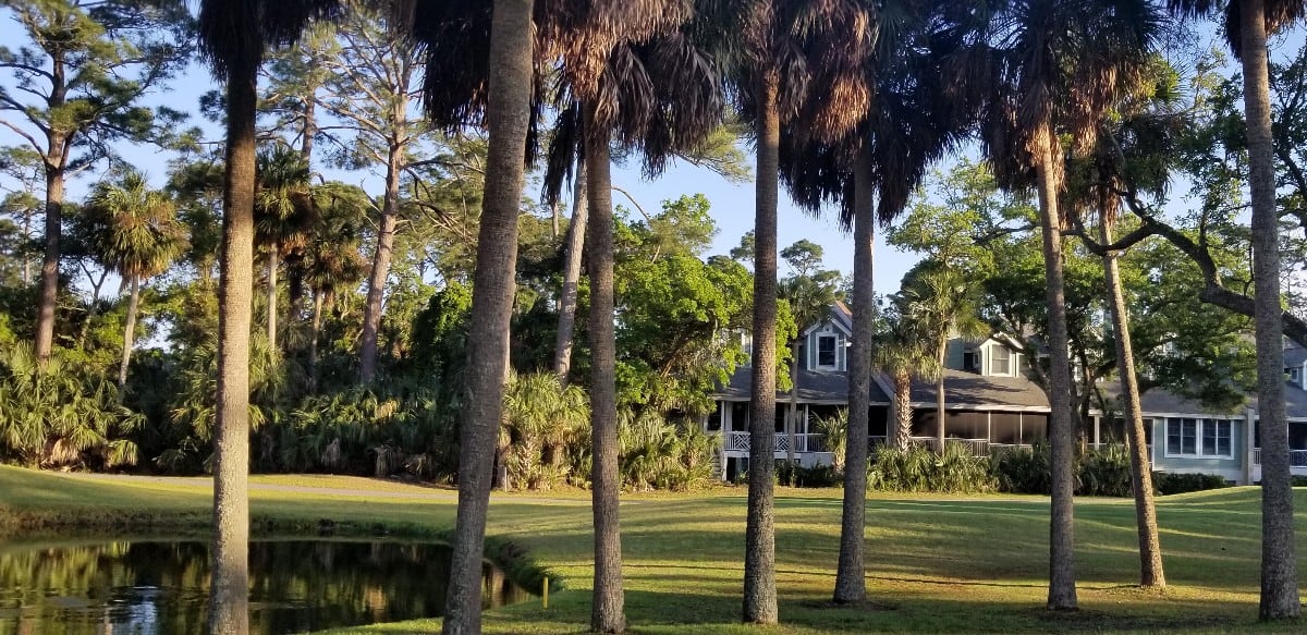 Home nestled among palms & live oaks, overlooking Ocean Creek 16th fairway w/ lively pond