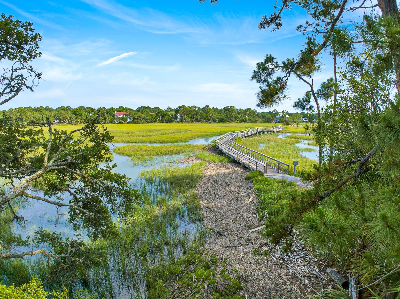 854 Marsh Dunes