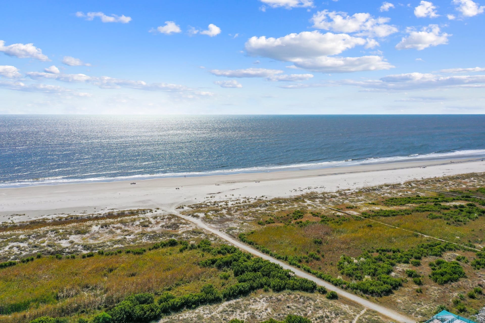 711 Winter Trout