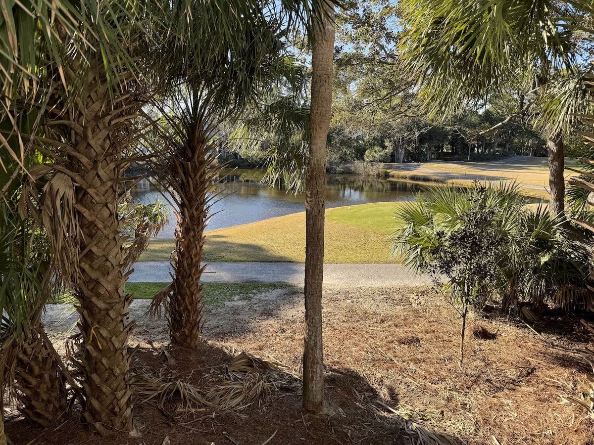 Lake View