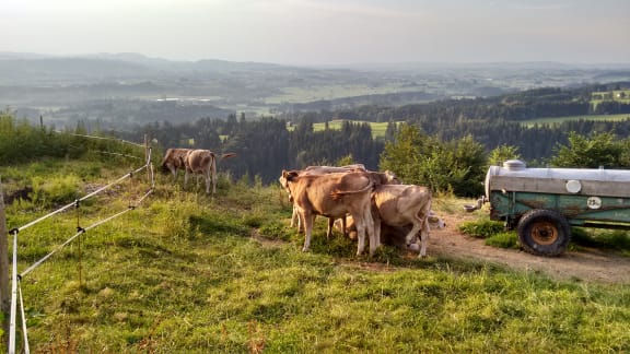 Allgäu