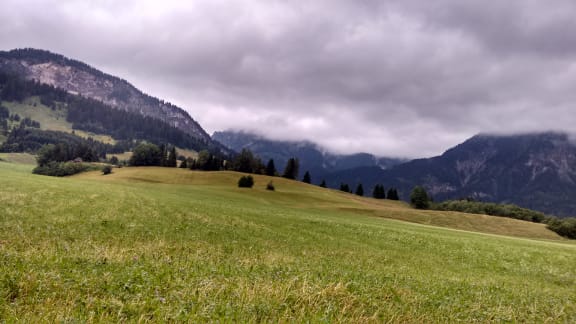 Allgäu