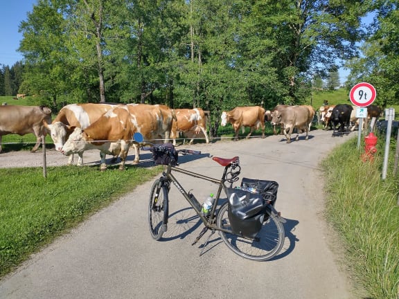 Bodensee - Königssee