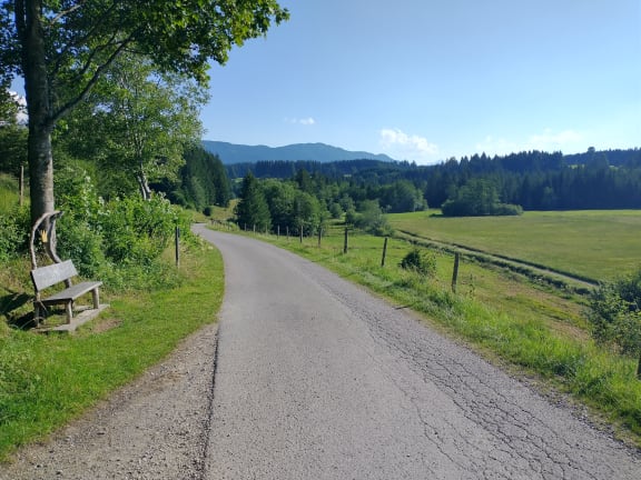 Bodensee - Königssee