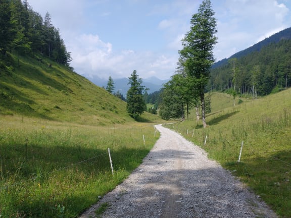 Bodensee - Königssee