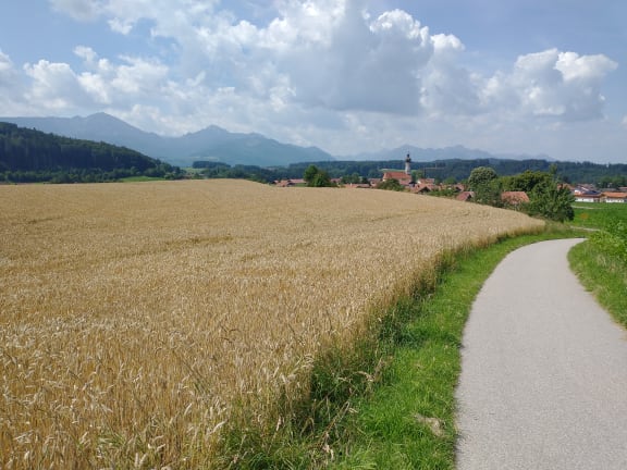 Bodensee - Königssee
