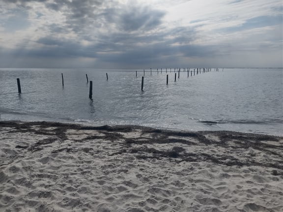 Dänemark Ostseeküsten-Radweg