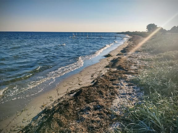 Dänemark Ostseeküsten-Radweg