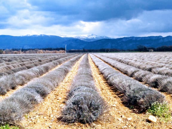 Provence-Alpes-Côte d'Azur