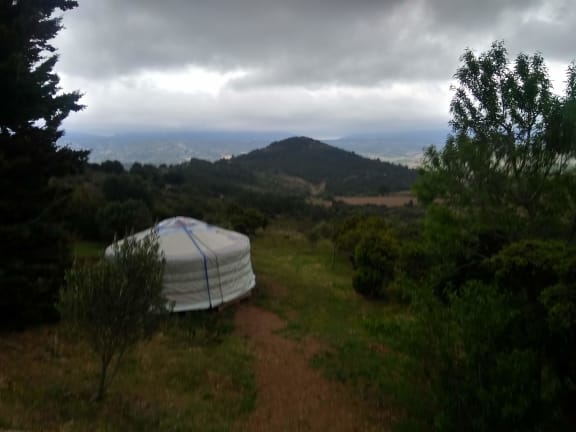Provencelona